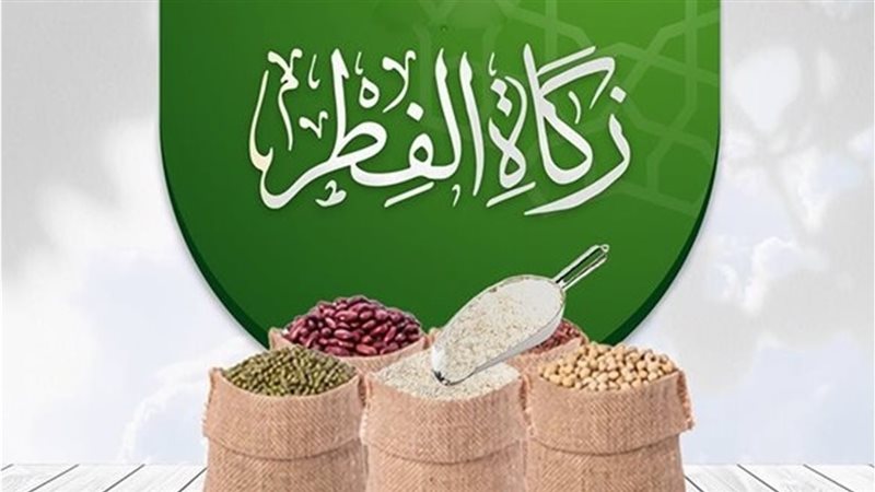 تفصيلة