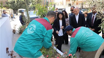 محافظة القاهرة تطلق مبادرة لتوسيع الرقعة الخضراء بميدان صدقي بالزمالك 