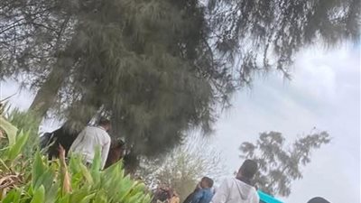 مأساة في الشرقية.. جثمان شاب معلقًا على شجرة بعد خلاف عائلي