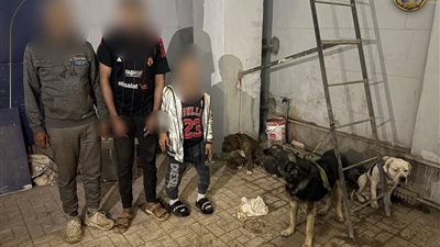 مباحث الخصوص تضبط المتهمين في واقعة تعذيب الكلاب الضالة