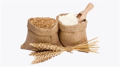 أحكام زكاة الفطر.. الأزهر للفتوى يوضح المستحقين وموعد الإخراج وطرق الصرف