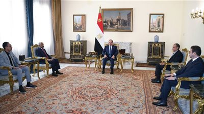 مكافحة الإرهاب بالصومال.. تفاصيل لقاء السيسي مع وزير خارجية إريتريا