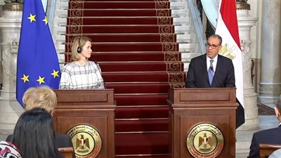 وزير الخارجية: قمة مصرية أوروبية مرتقبة لتعزيز الشراكة الاستراتيجية