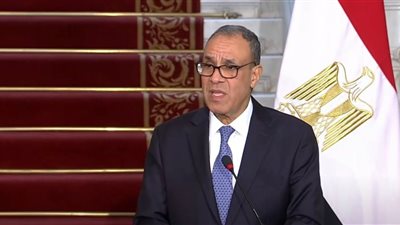 وزير الخارجية: نكثف جهودنا لاستعادة التهدئة في غزة وتنفيذ وقف النار