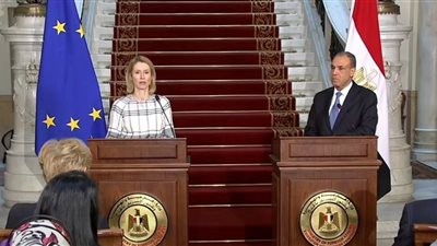 الاتحاد الأوروبي: مصر لعبت دورا محوريا في مفاوضات وقف إطلاق النار بغزة