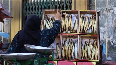 نائب يطالب الحكومة بكشف أسباب ارتفاع أسعار الأسماك رغم وفرة الإنتاج