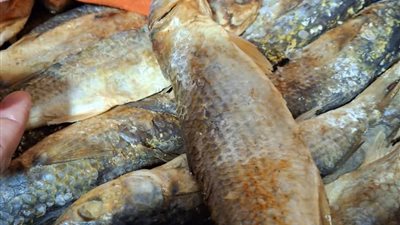 بالصور.. مصادرة أطنان من اللحوم والأسماك الفاسدة بالقاهرة قبل العيد