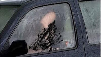 الأمن يكشف حقيقة فيديو 