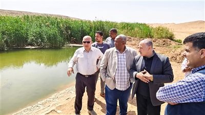 هانى سويلم: التفاني في العمل سمة رجال الري المخلصين