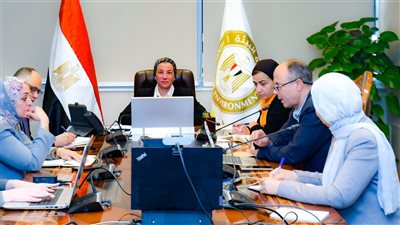 وزيرة البيئة: تحقيق التوازن بين حماية الطيور المهاجرة ومشروعات الطاقة