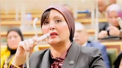 برلمانية عن زيارة ماكرون: مصر تثبت قدرتها على توحيد المواقف الدولية