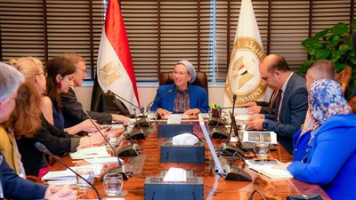 شركات فرنسية تخطط لاستثمارات جديدة في مصر لتعزيز التحول الأخضر