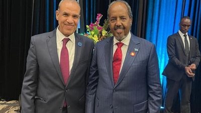 بتكليفات من السيسي.. تفاصيل لقاء وزير الخارجية مع الرئيس الصومالي بأنطاليا