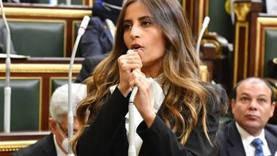 خارجية النواب: زيارة رئيس إندونيسيا لمصر تعكس عمق العلاقات الثنائية