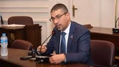 صحة الشيوخ: ترفيع العلاقات الثنائية أحد مكاسب زيارة الرئيس الإندونيسي لمصر