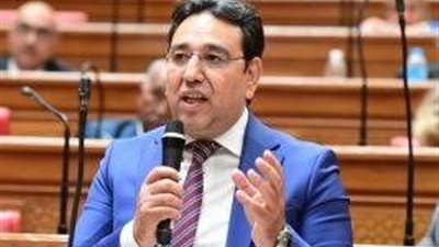 برلماني: نشاط الدبلوماسية الرئاسية تنجح في خلق رأي عام عالمي رافض للتهجير