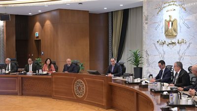 لإنشاء مصنعين جديدين.. تفاصيل لقاء رئيس الوزراء مع مسؤولي 