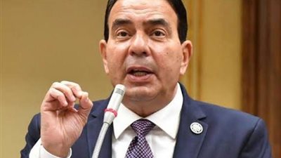 حقوق النواب: كلمة مصر في الأمم المتحدة صرخة ضمير عالمي ضد الصمت والتواطؤ