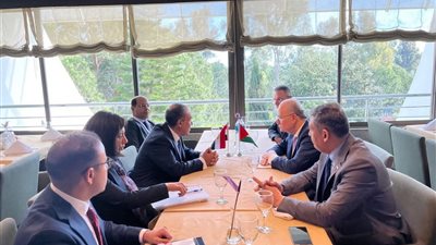 مصر وفلسطين تبحثان جهود تثبيت وقف إطلاق النار وإعادة إعمار غزة