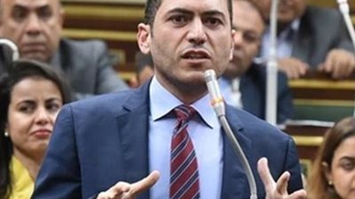 برلماني: دعم مصر لحقوق الفلسطينيين يجسد ثوابت الدولة والتزامها بالسلام العادل