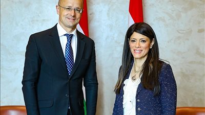 المشاط: الحكومة تعمل على تهيئة بيئة الاستثمار وتبسيط الإجراءات