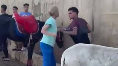 في واقعة «ضرب الحمار».. قرار عاجل من النيابة بشأن السائحة الهولندية