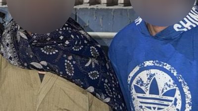 قلوب بلا رحمة..  تفاصيل ضبط سائق ومساعده بسبب تعذيب حصان بالقاهرة