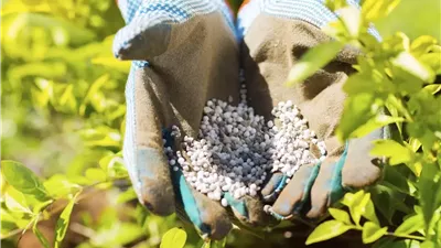الأولى عربيًا.. خطة تطوير صناعة الأسمدة في مصر وزيادة الصادرات