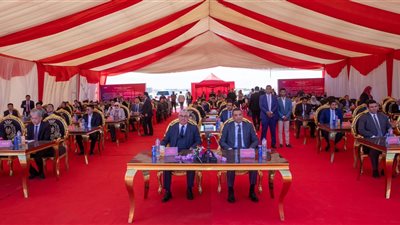 بـ500 مليون دولار.. تفاصيل إقامة أضخم مشروع لإنتاج الكلور القلوي بالسخنة