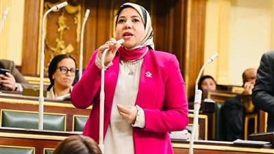 النائبة هيام الطباخ توافق على منحة أمريكية لخفض انبعاثات الميثان