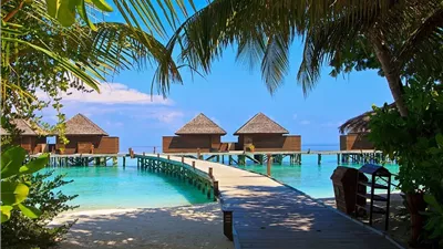 بسبب ما يحدث في غزة .. حظر دخول الإسرائيليين جزر المالديف