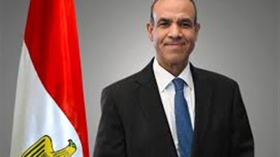 مصر تؤكد تضامنها مع الأردن في مواجهة المخططات الهدامة والتخريبية