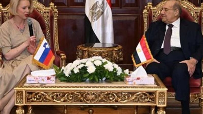 صورة من اللقاء