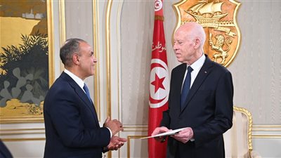 خلال زيارة رسمية لتونس.. عبدالعاطي يسلم قيس سعيد رسالة من الرئيس السيسي