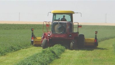 استثمارات سعودية جديدة في مصر.. 