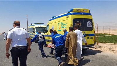 8 متوفين ضحايا حادث الطريق الصحراوي في المنيا.. وبيان عاجل من المحافظ