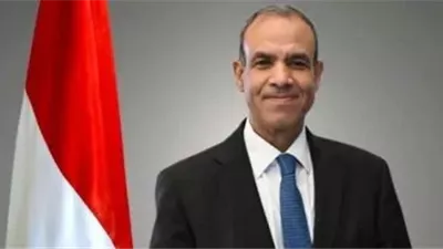 وزير الخارجية يؤكد اهتمام الدولة بتوطين صناعة الوقود النظيف 