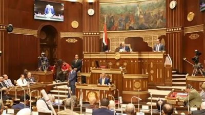 طلب مناقشة عامة أمام 