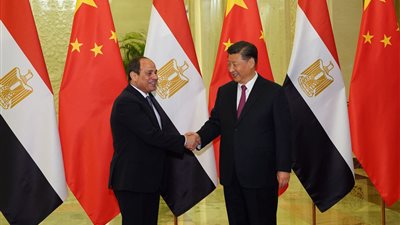 مصر تُعزز شراكتها مع 