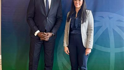 التخطيط: توحيد ضريبة الشركات يُدعم توجه الدولة نحو اقتصاد تنافسي جاذب للاستثمار