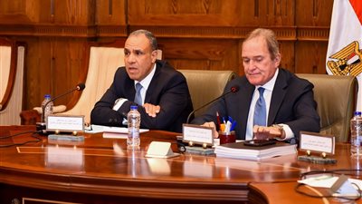 تفاصيل لقاء وزير الخارجيةمع لجنة حقوق الإنسان بمجلس الشيوخ