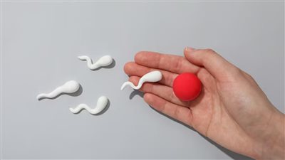 كيف يؤثر فصل الصيف وارتفاع الحرارة على صحة الحيوانات المنوية؟ 