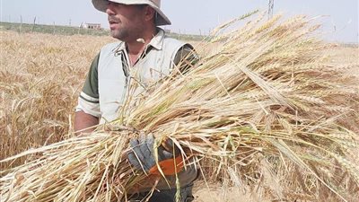  أبرز المعلومات عن مبادرة 