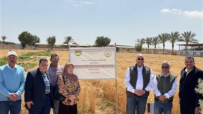 تزامنًا مع احتفالات سيناء.. إنشاء محطة طاقة شمسية وخط نقل مياه للصحراء