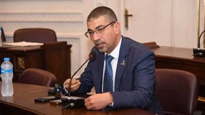 برلماني: سيناء أصبحت أرض الفيروز بحق في عهد الرئيس السيسي