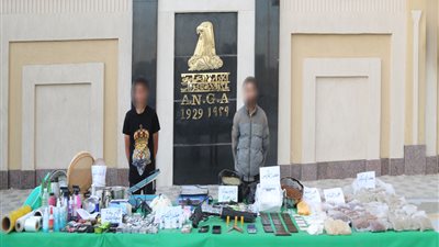 ضبط عنصرين إجراميين بالقليوبية بحوزتهما مخدرات وأسلحة نارية بقيمة 13 مليون جنيه