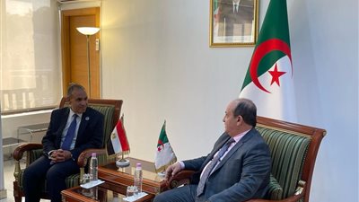 تفاصيل لقاء د. بدر عبد العاطي وزير الخارجية وزير الصناعة والإنتاج الصيدلاني الجزائري
