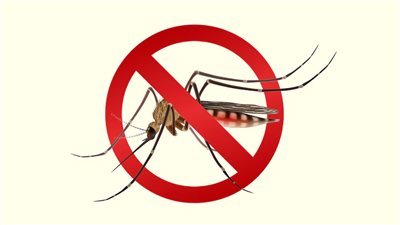 اليوم العالمي للملاريا 2025، نصائح فعالة للحماية من المرض الخطير 
