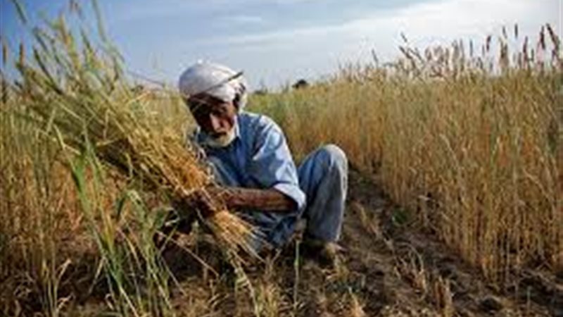 دعم متواصل للفلاح