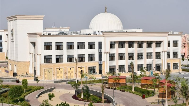 جامعة سيناء